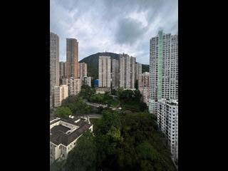 西半山 - 柏苑 15