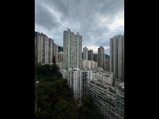 西半山 - 柏苑 19