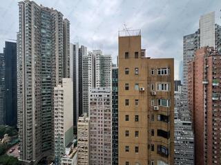 中半山 - The Icon 10