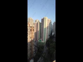 西半山 - 天汇 06
