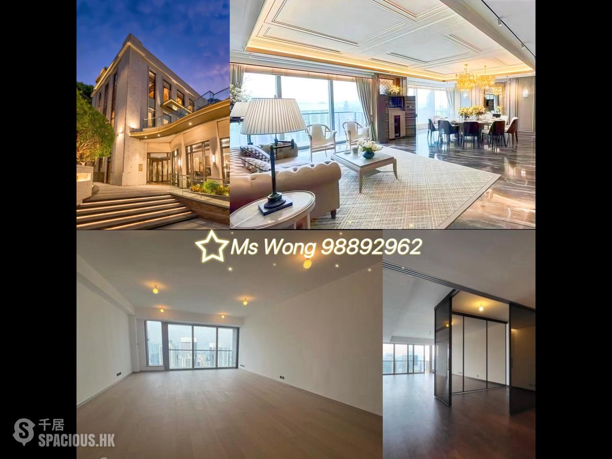 中半山 - 21 Borrett Road 01