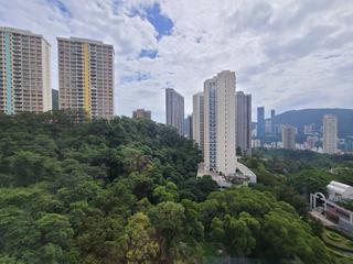 Jardines Lookout - Celestial Garden 07