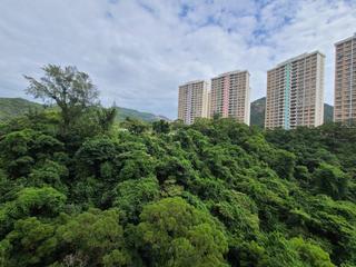 Jardines Lookout - Celestial Garden 08