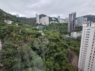 Wan Chai - Star Crest Block 1 08