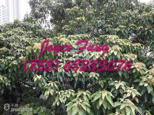 Kennedy Town - Jade Lotus Garden 01