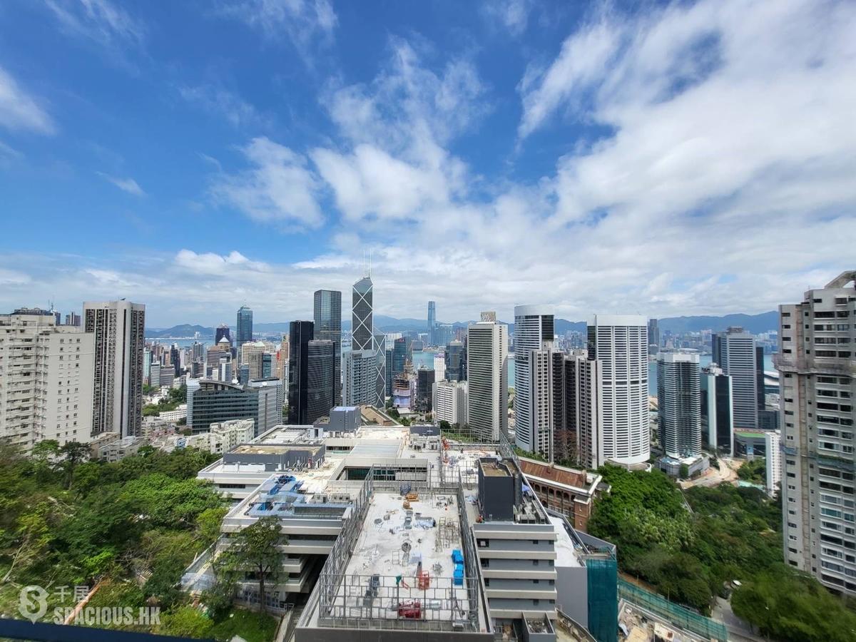中半山 - 21 Borrett Road 1号及2号 01
