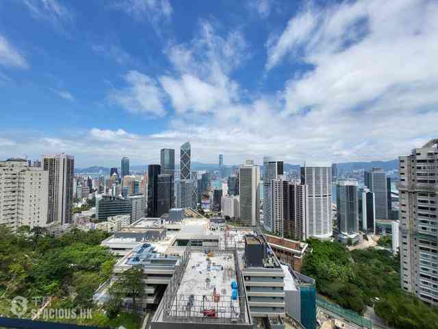 中半山 - 21 Borrett Road 1号及2号 01