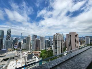 中半山 - 21 Borrett Road 1号及2号 05