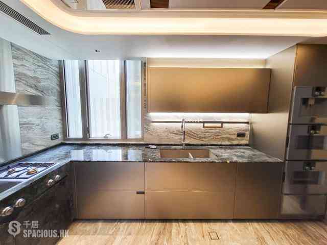 中半山 - 21 Borrett Road 1号及2号 12