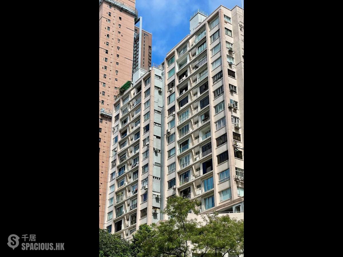 Happy Valley - Ventris Terrace 01