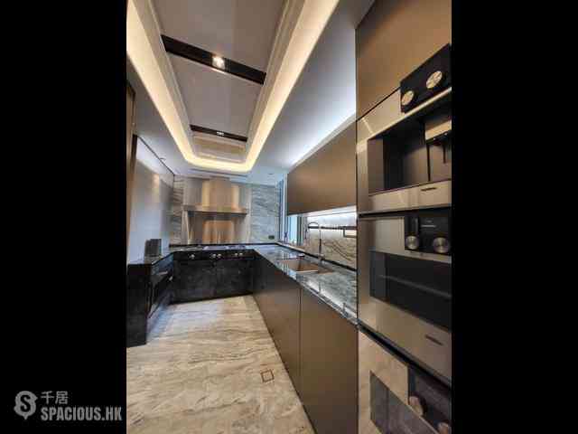 中半山 - 21 Borrett Road 1号及2号 08