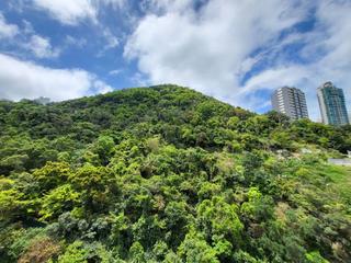 中半山 - 21 Borrett Road 1号及2号 18
