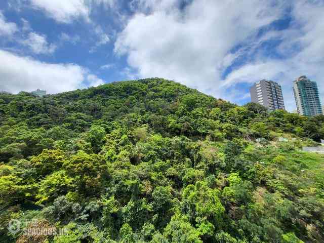 中半山 - 21 Borrett Road 1号及2号 18