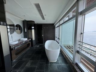 淺水灣 - 淺水灣道129號1座 06