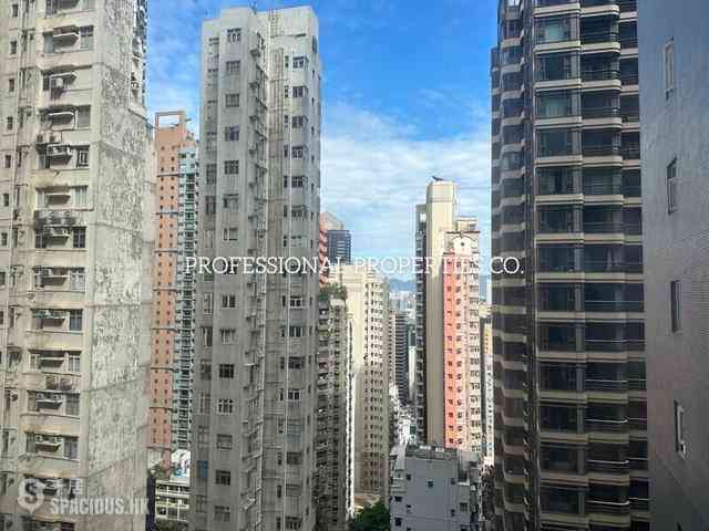 Mid Levels Central - Green Field Court 07