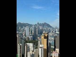 宝马山 - 威景台C座 06