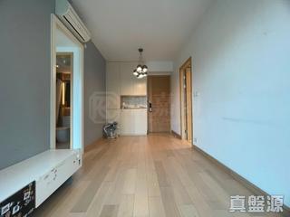 Tseung Kwan O - The Parkside Block 1A 03