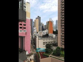 Sheung Wan - Manhattan Avenue 05