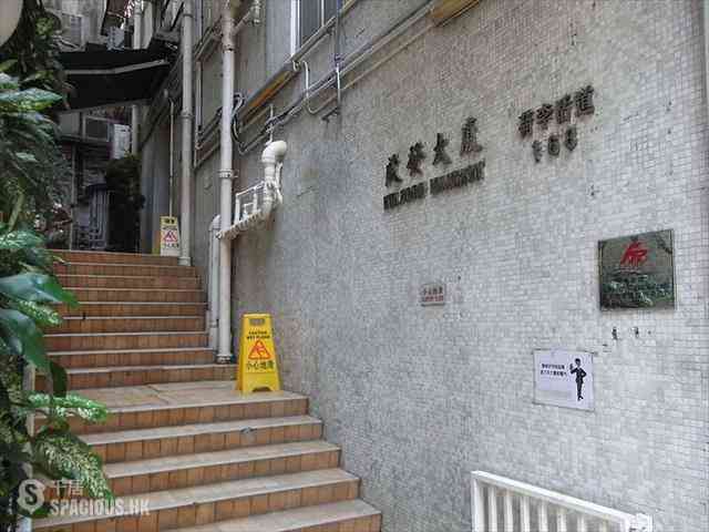 Poho - 启发大厦 19