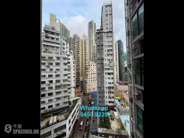 Sheung Wan - Elite's Place 10