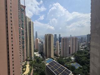 中半山 - 地利根德阁 09