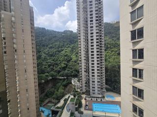 中半山 - 地利根德阁 13