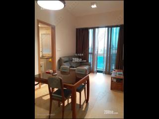 佐敦 - GRAND AUSTIN 05