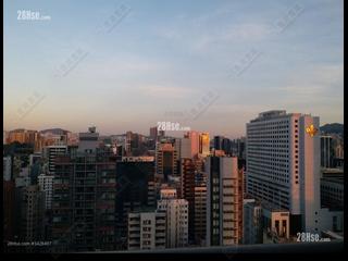 佐敦 - GRAND AUSTIN 06