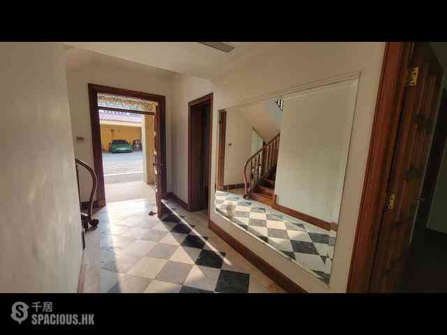 Stanley - Carmelia 06