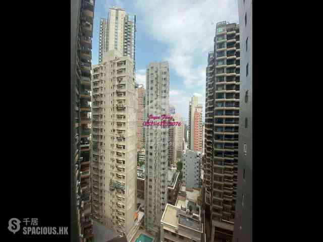 Mid Levels Central - Green Field Court 05