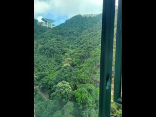 中半山 - 晓峰阁3座 14
