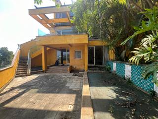 Stanley - Carmelia 06
