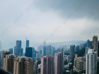 中半山 - 帝景園 09