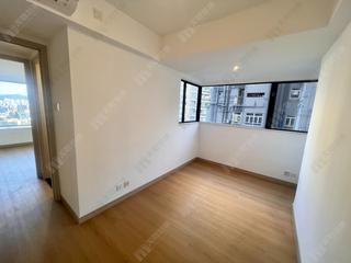 Mid Levels Central - 62B, Robinson Road 21