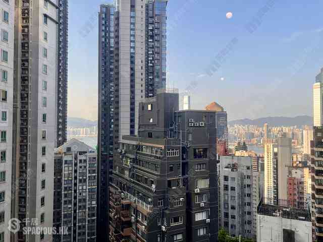 Mid Levels Central - 62B, Robinson Road 04