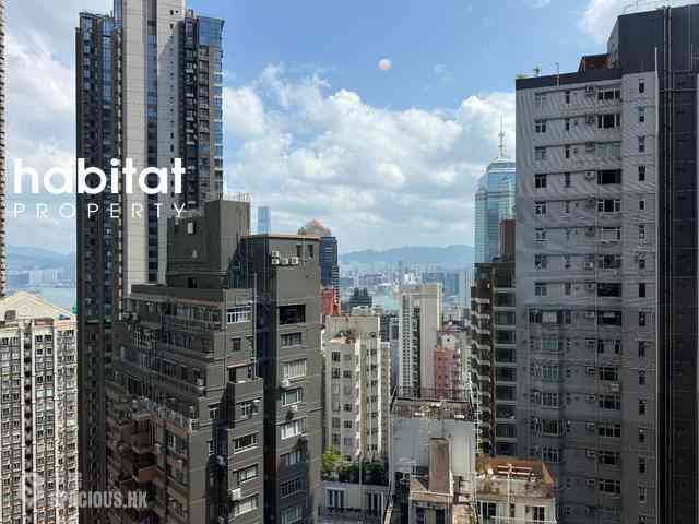 Mid Levels Central - 62B, Robinson Road 10