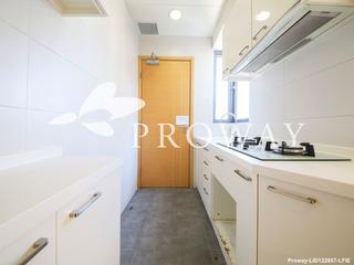 Sai Ying Pun - High Park 99 07