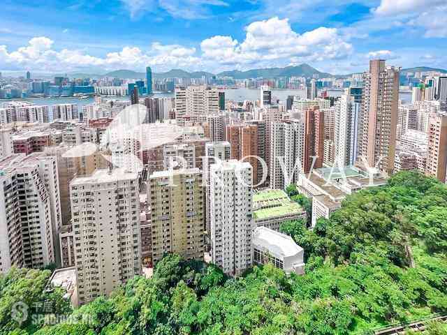 North Point - Tin Hau Temple Road North Point 02