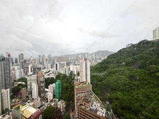 東半山 - 竹林苑74号 04