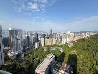 東半山 - 寶雲殿 14