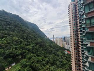 中半山 - 晓峰阁1座 09