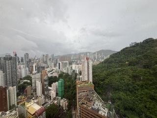 東半山 - 竹林苑 03