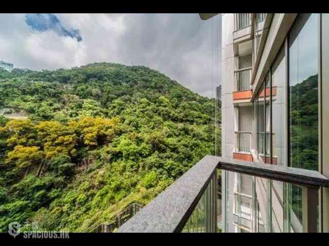 中半山 - 21 Borrett Road 04