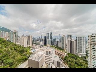 中半山 - 21 Borrett Road 05