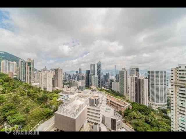 中半山 - 21 Borrett Road 05