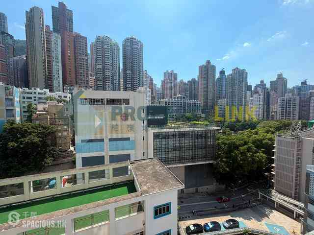 Sai Ying Pun - Macro Garden 08
