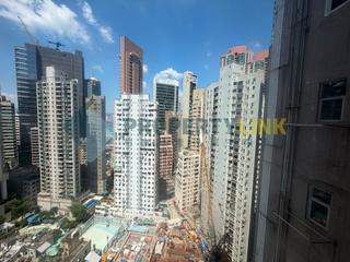 Sai Ying Pun - Macro Garden 06