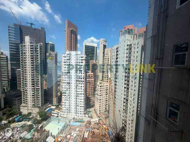 Sai Ying Pun - Macro Garden 06