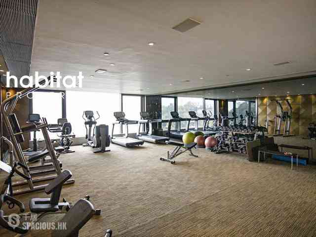 The Peak - 7-15 Mount Kellett Road 19