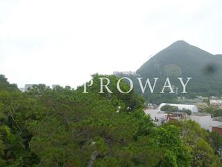 寿臣山 - 香兰别墅 02